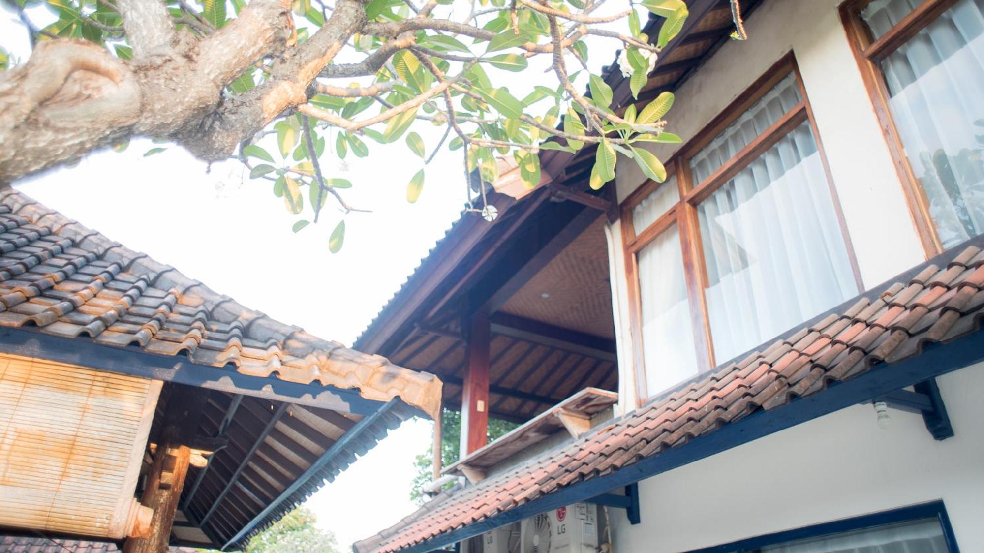 Tehila House Hotel Canggu Eksteriør billede
